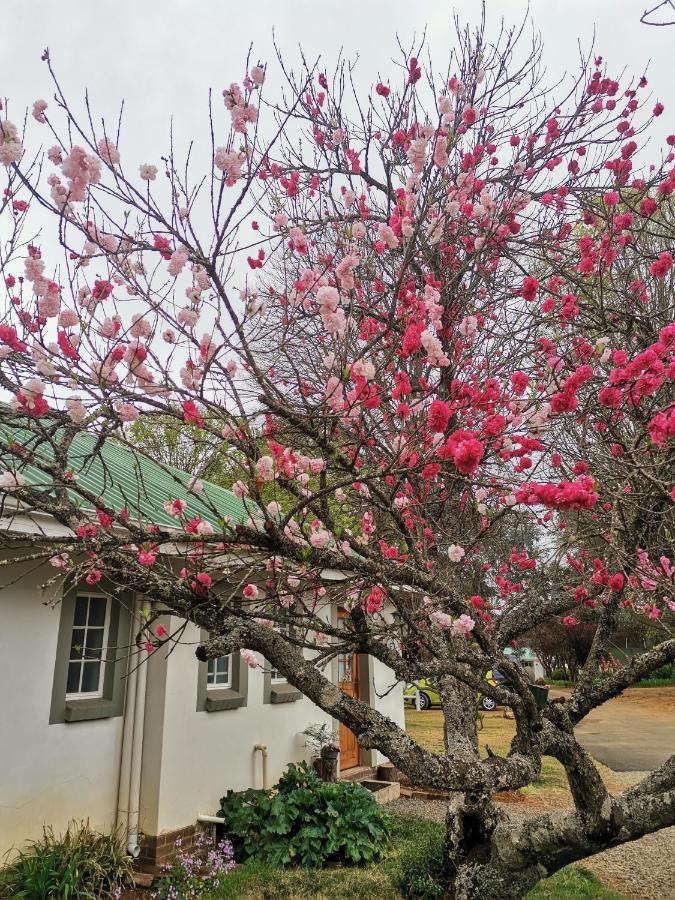 Sani Window B&B And Self Catering Underberg Ngoại thất bức ảnh