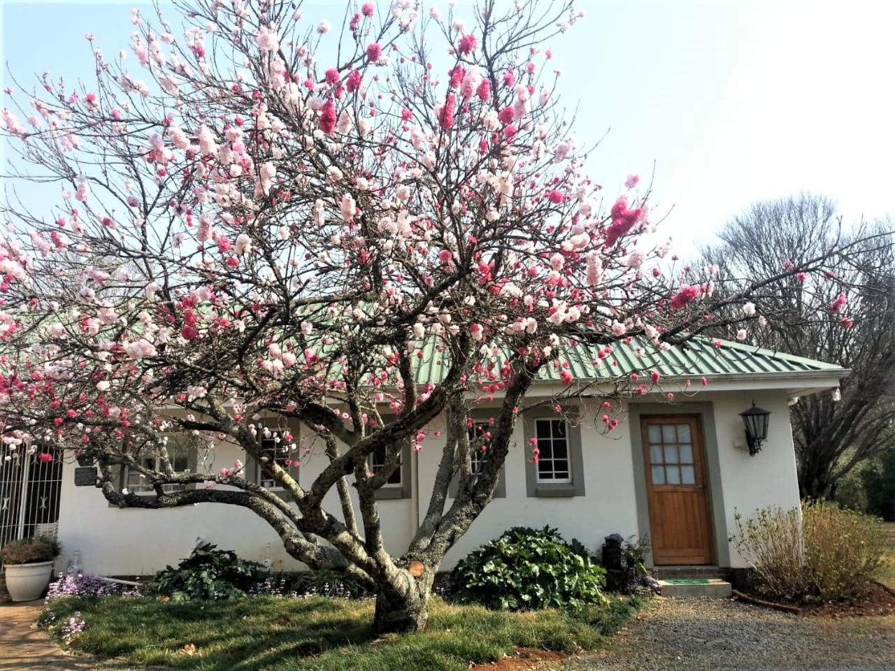 Sani Window B&B And Self Catering Underberg Ngoại thất bức ảnh